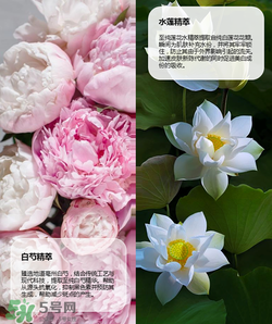 羽西丁一晨限定護(hù)膚品多少錢？羽西丁一晨限定價(jià)格