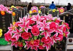 清明不過(guò)社是什么意思？清明不過(guò)社的社是哪天？