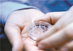 凍卵是什么？凍卵子需要多少錢？