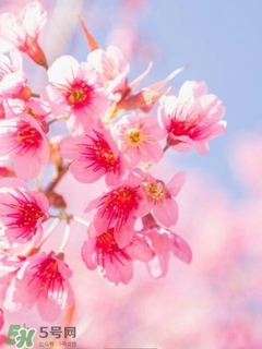 歐萊雅美女與野獸指甲油多少錢(qián)？歐萊雅美女與野獸指甲油試色