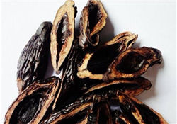 檳榔為什么會(huì)上癮？檳榔上癮怎么戒？