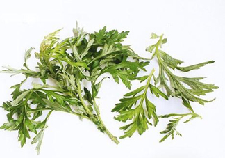 艾草可以治痛經(jīng)嗎？艾草能治月經(jīng)不調(diào)嗎？