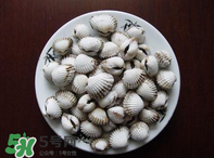 泥蚶怎么讀？泥蚶做法