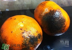 烤橘子怎么烤？烤橘子用什么火烤？