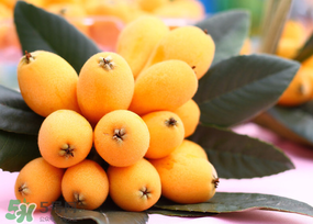 枇杷多少錢一斤？2017年枇杷多少錢一斤？