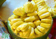 菠蘿蜜怎么吃？菠蘿蜜好吃嗎？