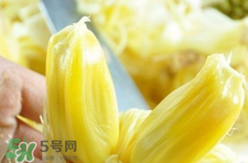 菠蘿蜜怎么吃？菠蘿蜜好吃嗎？