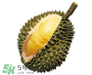 榴蓮可以和酸奶一起吃嗎？吃榴蓮喝酸奶會(huì)中毒嗎？