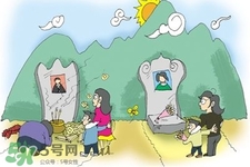 清明節(jié)掃墓怎么磕頭？清明節(jié)上墳是磕頭還是鞠躬？