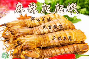 枇杷可以和海鮮能一起吃嗎？枇杷和海鮮一起吃吃好嗎？