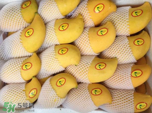 芒果哪里的最好吃？芒果哪種品種好吃？