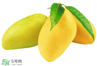 芒果哪里的最好吃？芒果哪種品種好吃？