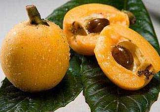 枇杷和菠蘿能一起吃嗎？菠蘿和枇杷一起吃會(huì)中毒嗎？