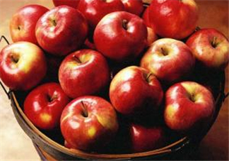 天天吃蘋果能減肥嗎？天天吃蘋果對皮膚好嗎？