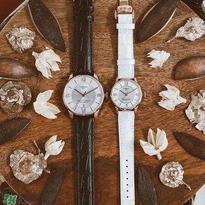 瑞士手表什么牌子好 送給完美主義者的八款瑞士手表 瑞士手表什么牌子好 送給完美主義者的八款瑞士手表