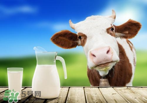 牛奶苦是怎么回事？牛奶苦能喝嗎？