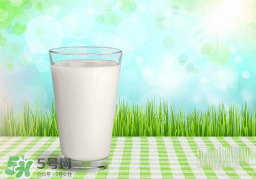 牛奶苦是怎么回事？牛奶苦能喝嗎？
