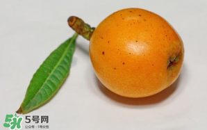 枇杷可以和蔥一起煮嗎？蔥和枇杷葉一起煮可以喝嗎？