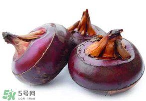 枇杷可以和荸薺一起煮水嗎？枇杷和荸薺能一起吃嗎？