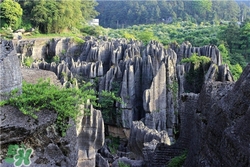 4月份去重慶穿什么？四月份去重慶穿什么衣服？