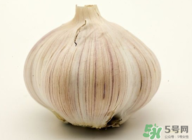 薺菜和大蒜能一起吃嗎？薺菜和蒜頭能一起吃嗎？