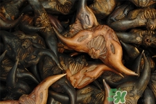 菱角的營養(yǎng)價(jià)值 菱角的功效與作用 菱角的營養(yǎng)價(jià)值 菱角的功效與作用