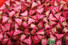 菱角的營養(yǎng)價(jià)值 菱角的功效與作用 菱角的營養(yǎng)價(jià)值 菱角的功效與作用