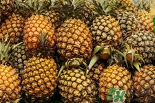 菠蘿是低糖水果嗎？菠蘿含糖量高嗎？
