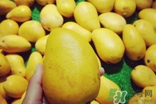 芒果是低糖水果嗎？芒果是低糖還是高糖？