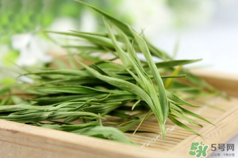 淡竹葉的功效與作用 淡竹葉有什么功效？