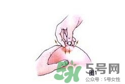 怎么按摩乳房下奶快 怎么按摩乳房下奶多 怎么按摩乳房下奶快 怎么按摩乳房下奶多