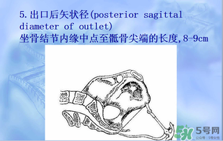 盆骨多大適合順產(chǎn) 盆骨多大可以順產(chǎn) 盆骨多大適合順產(chǎn) 盆骨多大可以順產(chǎn)