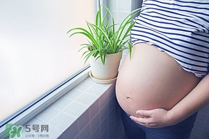 孕晚期宮縮是什么感覺 孕晚期宮縮怎么辦 孕晚期宮縮是什么感覺 孕晚期宮縮怎么辦