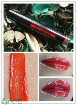 植村秀漆光唇釉色號試色 植村秀漆光唇釉試色圖 植村秀漆光唇釉色號試色 植村秀漆光唇釉試色圖