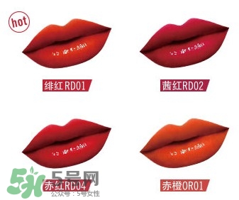 植村秀漆光唇釉色號試色 植村秀漆光唇釉試色圖 植村秀漆光唇釉色號試色 植村秀漆光唇釉試色圖