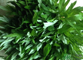 清明草是艾草嗎？清明菜是什么草？