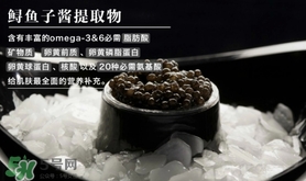 至本是什么牌子？至本什么檔次？