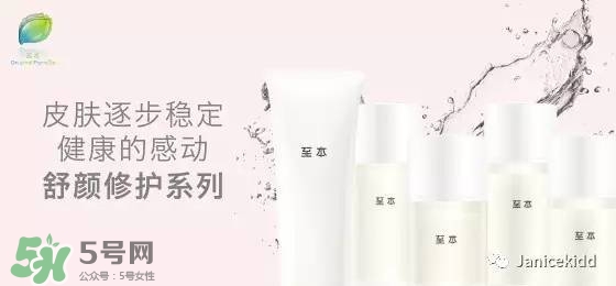 至本是什么牌子？至本什么檔次？