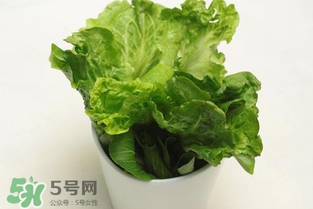 春菜為什么會(huì)苦？春菜發(fā)苦能吃嗎？