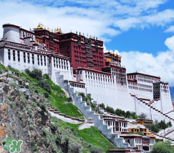 4月份去拉薩穿什么？四月份去拉薩穿什么衣服？