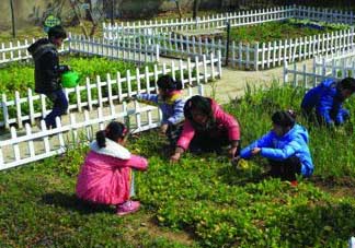 清明節(jié)種什么菜？清明節(jié)前后種什么菜？