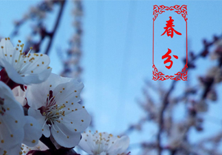 春菜為什么會苦？春菜發(fā)苦能吃嗎？