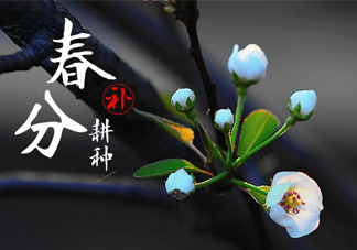 春分吃春菜有什么好處？春菜有什么營(yíng)養(yǎng)價(jià)值？