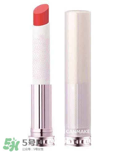 粉色口紅哪個(gè)牌子好？粉色口紅推薦