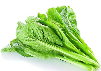 春菜的營(yíng)養(yǎng)價(jià)值 春菜的功效與作用