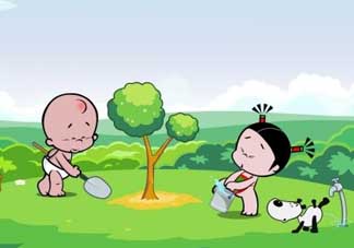 清明節(jié)種什么樹？清明節(jié)為什么種樹？