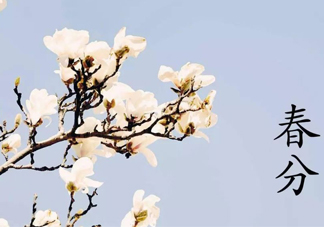 春分吃什么傳統(tǒng)食物？南方人春分節(jié)氣吃什么？