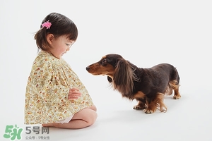 2歲寶寶發(fā)育指標 2歲寶寶發(fā)育標準 2歲寶寶發(fā)育指標 2歲寶寶發(fā)育標準