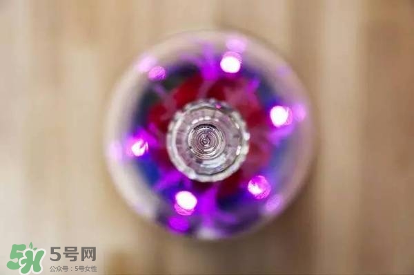 camino美女與野獸音響多少錢？camino玫瑰藍牙音箱價格