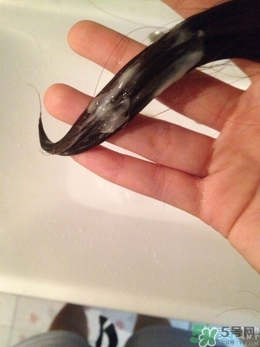 水之密語悅潤(rùn)至美 水之密語悅潤(rùn)至美洗發(fā)水